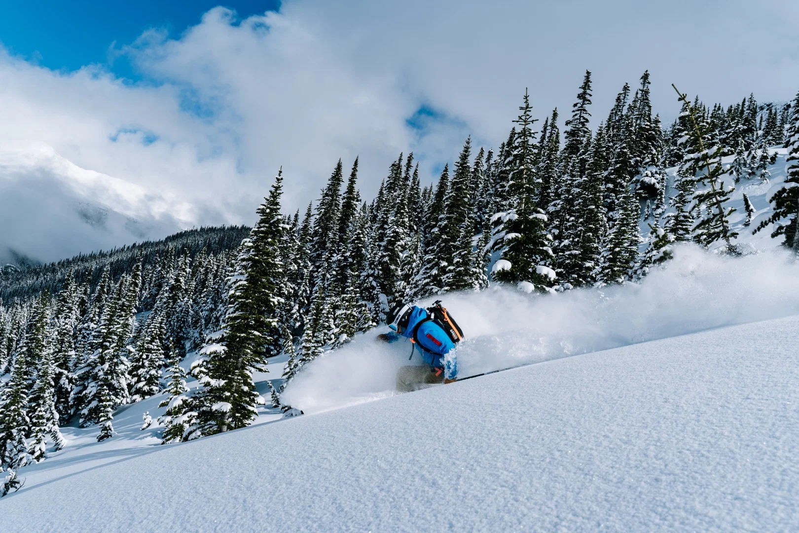 Skieur dans la poudreuse devant une forêt de conifères couverte de neige